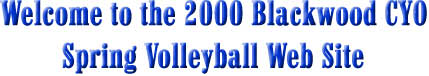 Welcome to the 2000 Blackwood CYO Spring Volleyball Web Site